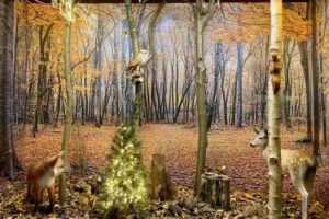 Casa En Lal&iacute;n