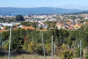 Casa Hospedaje Habitaciones Saln&eacute;s