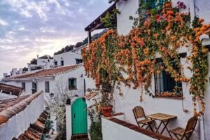 Casa La Higuera el Acebuchal