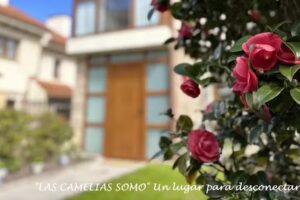 CASA LAS CAMELIAS SOMO
