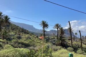 Casa Los P&eacute;rez