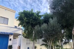 Casa Marina Live & Enjoy