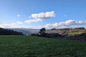 Casa morgade g&aelig;stehus