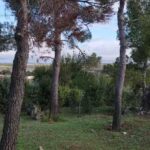 Casa Piedra La Zorra