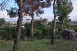 Casa Piedra La Zorra