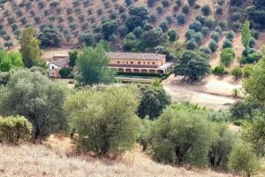 Casa rural Ba&ntilde;os de Vivaque (ubicaci&oacute;n real)