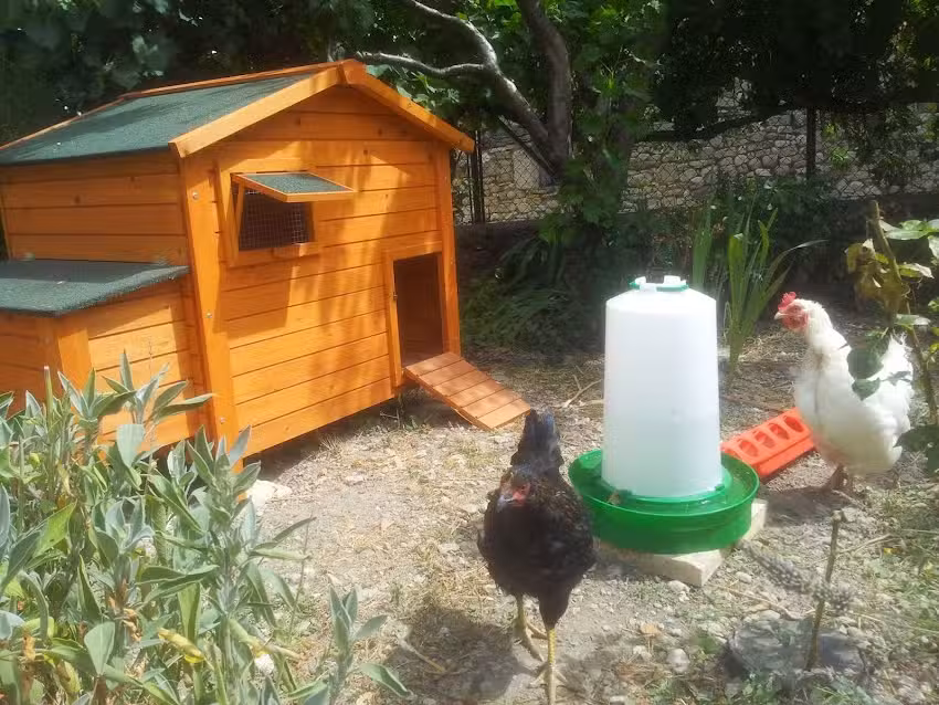 Casa rural Basaula &ndash; Agroturismo en Navarra