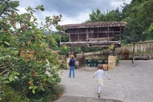 Casa Rural Blasón en Belmonte