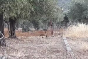 Casa Rural Buenasbodas