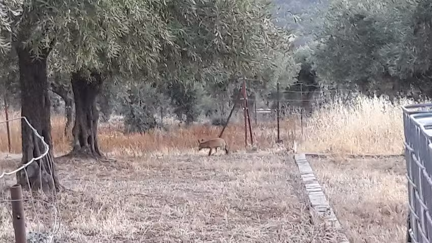 Casa Rural Buenasbodas