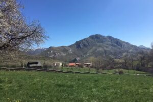 Casa Rural Bustefrades