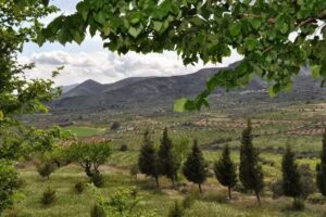 Casa Rural Ca Miquelet