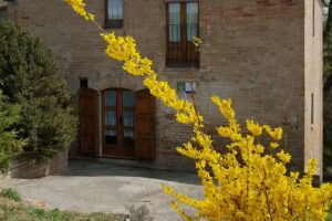 Casa Rural Cal Cisteller