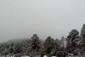 Casa Rural &ldquo;Carli&rdquo;.