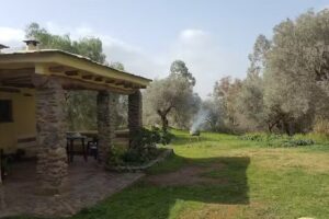 Casa Rural Cortijo La Longuera