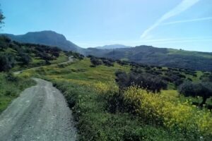 Casa Rural Cortijo Zapata