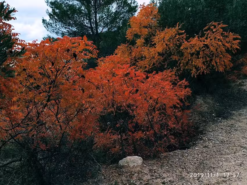 Casa Rural Del Valle Del Arles