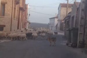 Casa Rural El Mirador del Villar