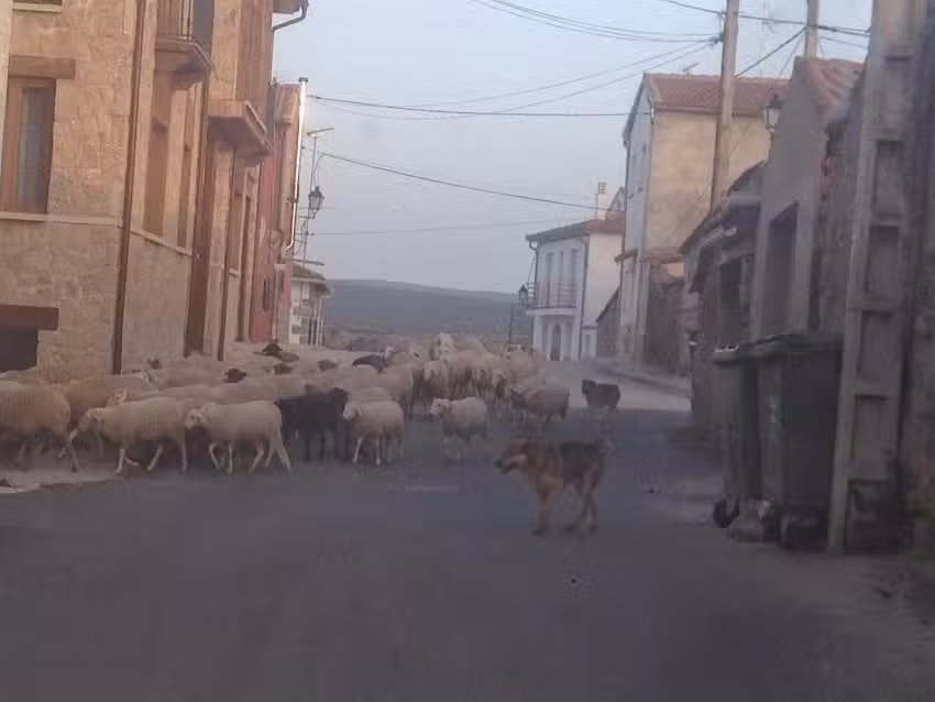 Casa Rural El Mirador del Villar