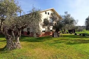 Casa Rural El Olivar del Marqu&eacute;s