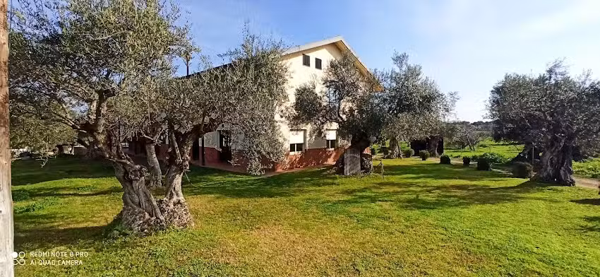 Casa Rural El Olivar del Marqu&eacute;s