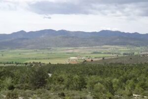 Casa rural El Pocico