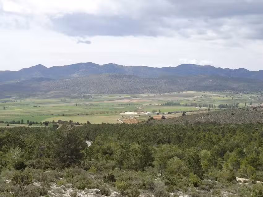 Casa rural El Pocico