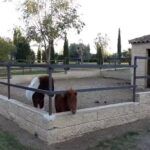 Casa Rural El Quijote