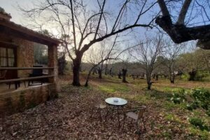 Casa Rural El Quinque