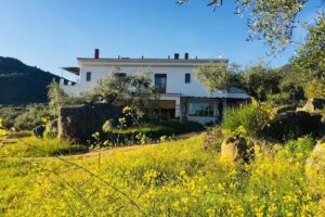 Casa rural en Almohar&iacute;n Finca Flores Amarillas