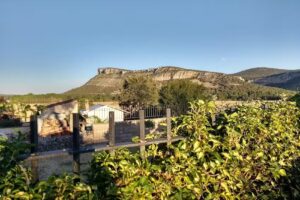 Casa Rural Fuenteazul