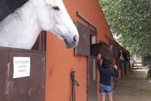 Casa Rural H&iacute;pica Mas Paguina