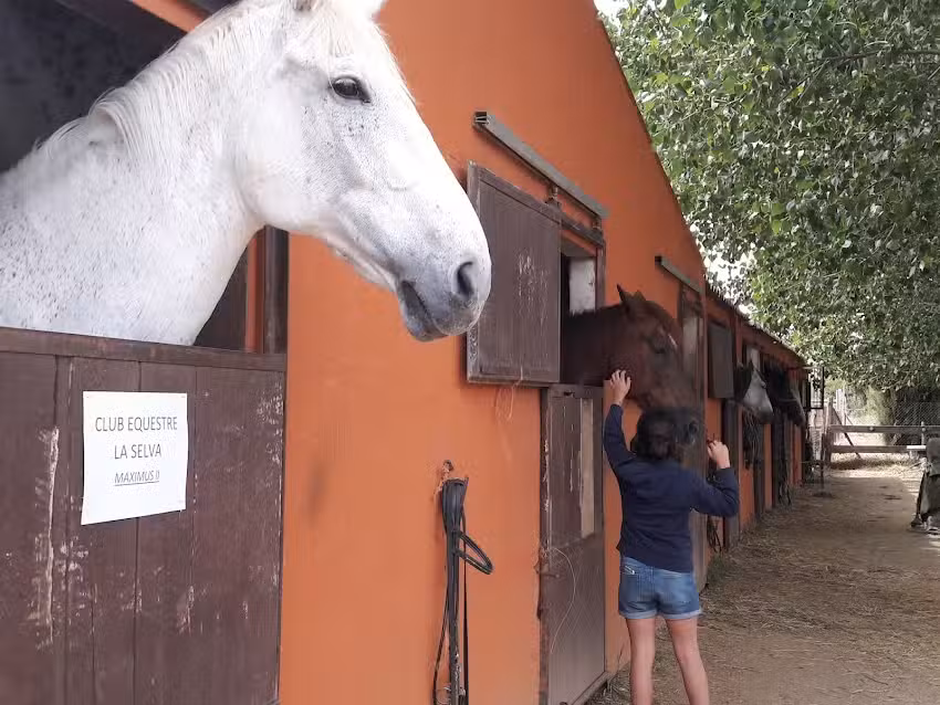 Casa Rural H&iacute;pica Mas Paguina