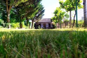 Casa Rural Huerto Lahiguera