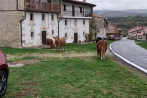 Casa Rural la Candelaria