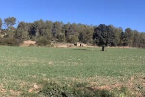 Casa Rural la Caseta de Lluss&agrave;