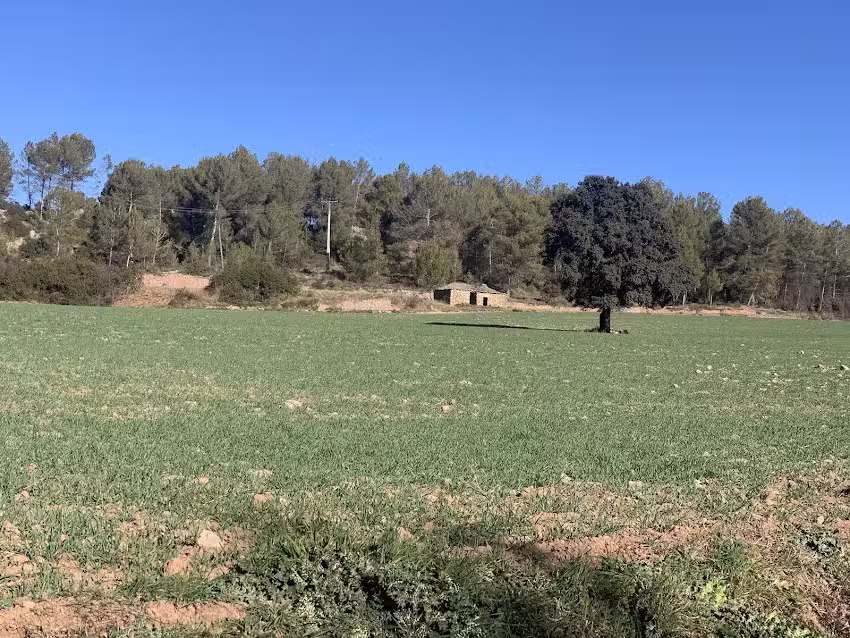 Casa Rural la Caseta de Lluss&agrave;