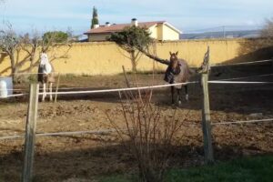 Casa Rural La C&uacute;pula Del Convento