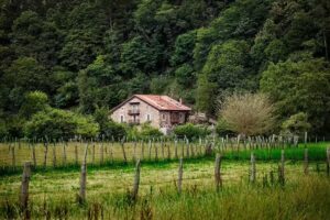 Casa Rural La Curva de Mar&iacute;a