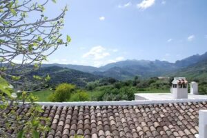 Casa Rural La Higuera