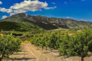 Casa Rural La Rosera