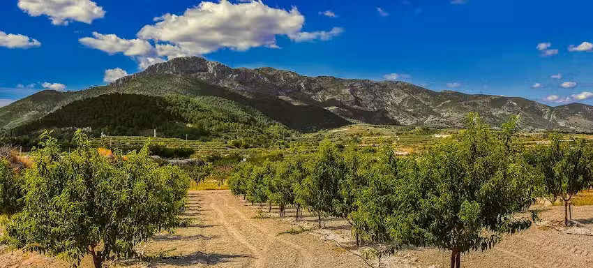 Casa Rural La Rosera