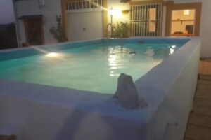 Casa Rural &ldquo;La Serrer&iacute;a de F&eacute;rez&rdquo;.