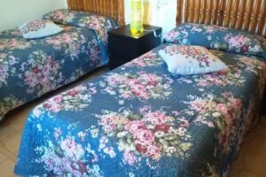 Casa Rural la Valenciana