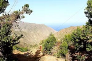 Casa Rural Las Avestruces