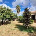 Casa Rural Las Palmeras