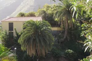 Casa rural Los Aromos