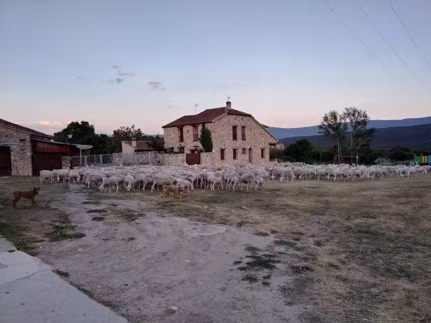 Casa rural Los Maestros