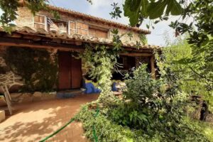 Casa Rural Mancho Villa