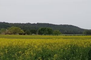 Casa rural Mas Nou d&rsquo;en Lliura Peratallada